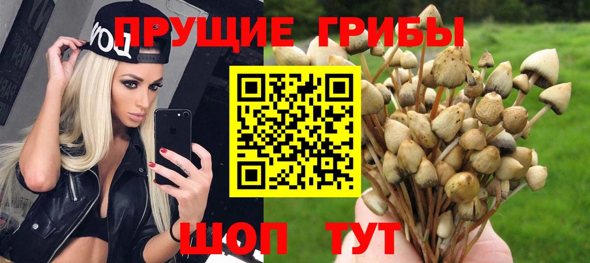 Галлюциногенные грибы Cubensis  Галлюциногенные грибы ЛСД  Ливны  Вход с VPN 